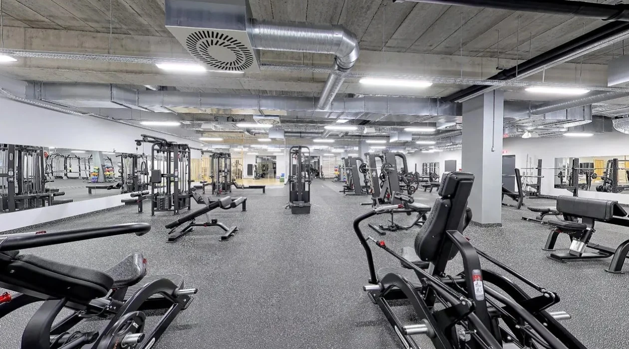 Zdjęcie  Well Fitness - Jelenia Góra, Zaborze