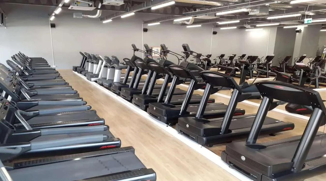 Zdjęcie  Well Fitness Sosnowiec